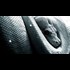 WATCH: Serpent Seed - Antichrist Obama (Father Of The Lies)