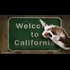 California's SB277 mandatory vaccination bill passes Senate committee after votes rigged, public testimony silenced