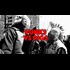 Punks VS Pigs