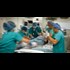 Private Health Care as an Act of Terrorism