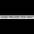 Radio Wehrwolf News Hour 7/28/2017