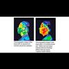 New Warnings On Cellphone Radiation Harken To Big Tobacco Revelations