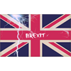UK Plans For Martial Law If Brexit Deal With EU Fails