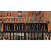 Dr. Lauretta Bender: Yet Another Acclaimed Jewish Psychiatric Quack