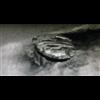 Alien spacecraft 91m under Baltic Sea is still baffling experts 5 years on
