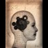 Brainwashing versus Education: The West Spreads Intellectual Idiocy
