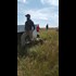 With Helicopter Overhead, Security Used Tear Gas and Dogs to Move Standing Rock Land Protectors