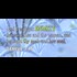 Huge Bible Knowledge: Origin of 'Seed' Reveals Hybrid Race and End Time Arab Infiltration (Video) | Prophecy
