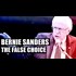 Bernie Sanders The BOOTLEG Ron Paul FAKE Revolution #FeeltheBullcrap (Redsilverj)