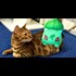 People in Japan Are Posting Proof That Pets Can See 'Pokémon Go' | Please confirm, perhaps its just nonsense.