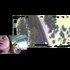Video shows two camera angles of LaVoy Finicum shooting