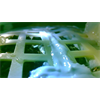 Plants have just been grown on the Moon for the very first time. Cotton seeds sprouted in experiment aboard China's Lunar lander. Chinese Rover has soil, cotton, rapeseed, arabidopsis & potato seeds.