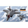 Lavrov: 'At Least 6 US F-35s Detected on Iran's Borders at the Time of Ukrainian Plane Crash'