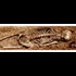 Did Nephilim existed? Evidence suggesting YES! | Tech and Facts