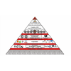 History of the Black Nobility and the Committee Of 300
