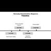 The JFK Assassination Timeline  The Countdown to Zion.