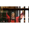 Mohamed Morsi: Six Years After Coup, Egypt's First Democratically Elected President Dies in Court