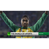 Olympic runner Semenya loses testosterone appeal (story starts at 1:19)