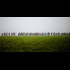 So it begins here: U.S. city overrun with criminal refugees