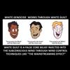 Anti White propaganda and the mainstreaming effect
