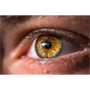 Success Principle: What is the most important thing to learn over years of military and government service? That question is easy to answer. Its good situational awareness.