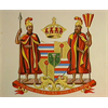 White skinned hawiians were the rulers of the kingdom of hawaiia?