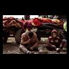 Vanessa Beeley Interview - White Helmets, The Next Syrian False Flag, Yemen & Humanitarian Deception
