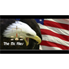 Mind Control And The Deep State Ploy To Destroy America- Interview with Special Guest Gina Phillips