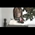A.I. Seeks to Dominate the Human Race. Sky Net, and the beginning of the Robot Rebellion