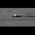 WHY DID NASA DELETE THIS PICTURE FROM MARS?