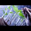 The US Government Plans to Genetically Engineer Plants to Spy on People