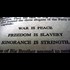The Age of Authoritarianism (and How to Combat it)