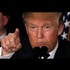 The Rise Of The Anti Establishment Trump by Larken Rose