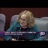 Sandy Hook: Maureen Crowley Tells It Like It Is At Newtown Hearing