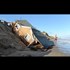 DR WILLIAM MOUNT: US Super Storm Centered Over Military Base???