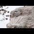 Unanimous Jury In 1999 Civil Trial Found Gov Assassinated Dr. King