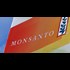 Bayer and Monsanto's Mega Merger
