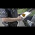 Court Rules Police Can Legally Make Up Lies to Pull People Over to Fish for Criminal Behavior