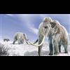 Controversy Surrounding The Ice Age Did It Actually Happen Like We Think It Did?