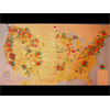 **NEW - PARADISE LOST (pt 1) - Targeting, Missing 411, CA Wildfires,