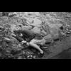 Review of Gruesome Harvest The Allied Attempt To Exterminate Germany After 1945