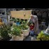 Gazans turn to their rooftops for sustenance
