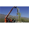 Heres Some Common Sense on 5G (RichieFromBoston)