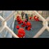 Exporting Torture: Former Chicago Police Detective Tied to Brutality at Guantánamo