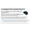 Fluoridation's Neurotoxicity