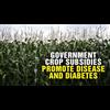Government Crop Subsidices Promote Disease And Diabetes