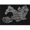 Dead Sea Scrolls In Washington Museum Found To Be Fake