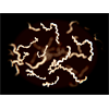 Lyme disease may be a biological weapon developed by the U.S. military