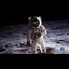 What will it take for you to finally admit that we never went to the moon?