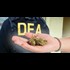 New DEA Chief Retreats On War Against Weed, Says DEA Will No Longer Focus On Marijuana